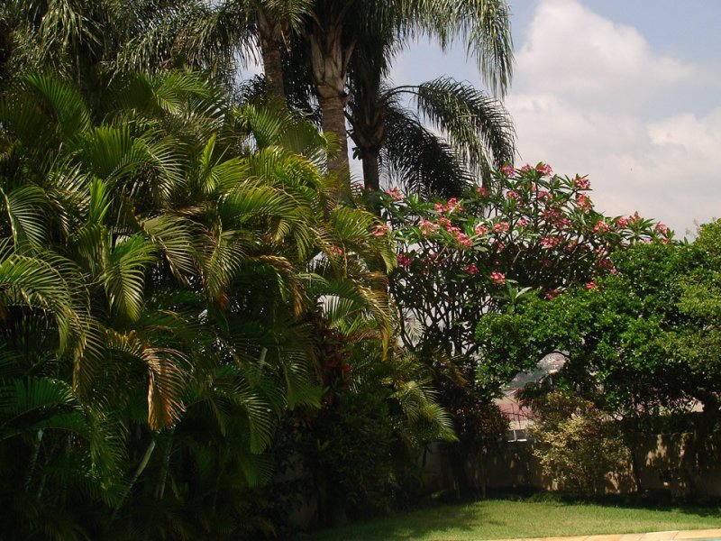 Casa à venda Morumbi com 560m² e 4 quartos por R$ 3.500.000 - 433404591-copia-de-imagem-546.jpg