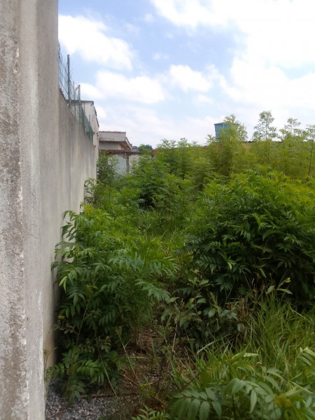 Terreno à venda Jardim Camargo Novo com 286m² e 1 quarto por R$ 400.000 - 2000211594-whatsapp-image-2023-04-25-at-10.jpeg