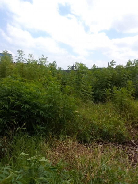 Terreno à venda Jardim Camargo Novo com 286m² e 1 quarto por R$ 400.000 - 2140347164-whatsapp-image-2023-04-25-at-10.jpeg