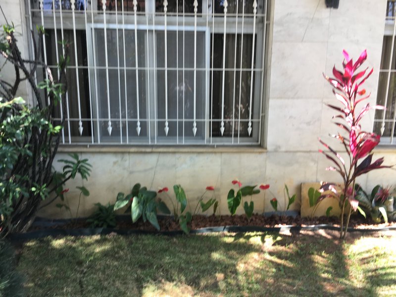 Casa à venda Jardim Aeroporto com 200m² e 3 quartos por R$ 900.000 - 1136227334-img-3320.jpg