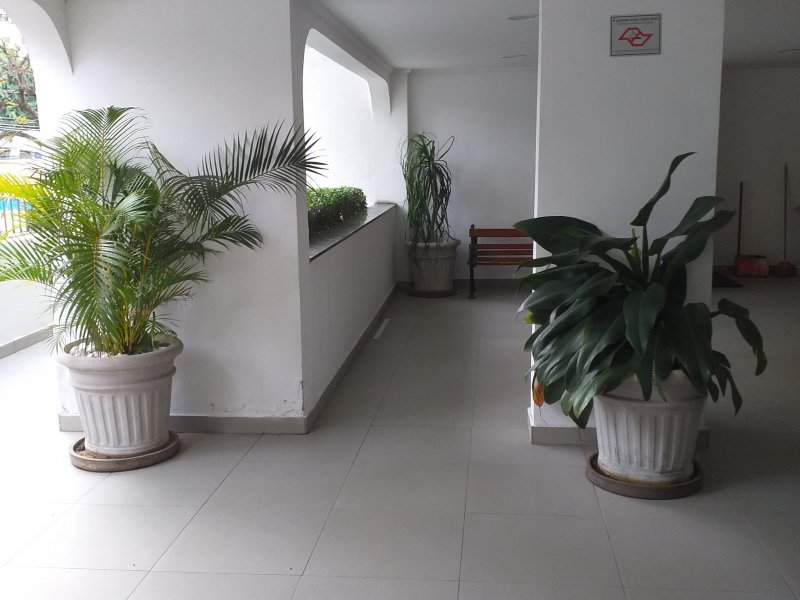 imóvel com 64m² - Vila Mascote - São Paulo