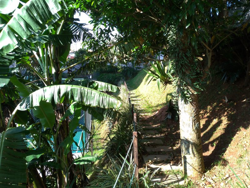 Apartamento à venda Vila Humaita com 54m² e 2 quartos por R$ 290.000 - 2131363866-p-20190128-174016.jpg