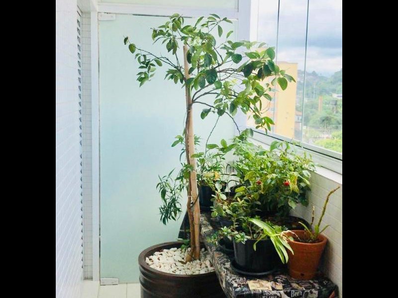 imóvel com 84m² - Vila Belmiro - Santos