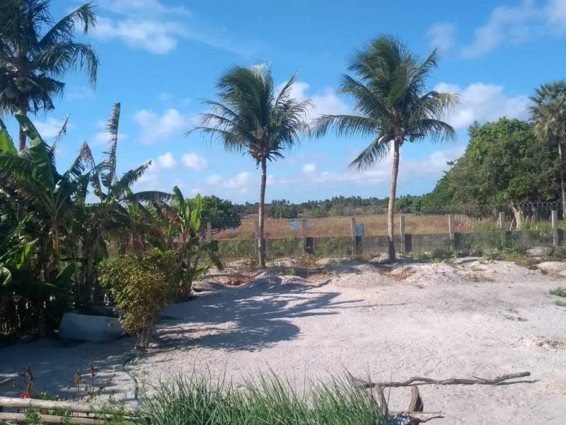 Sítio à venda Patacas com 22657m² e 4 quartos por R$ 1.550.000 - 1521449733-img-20191212-wa0037.jpg