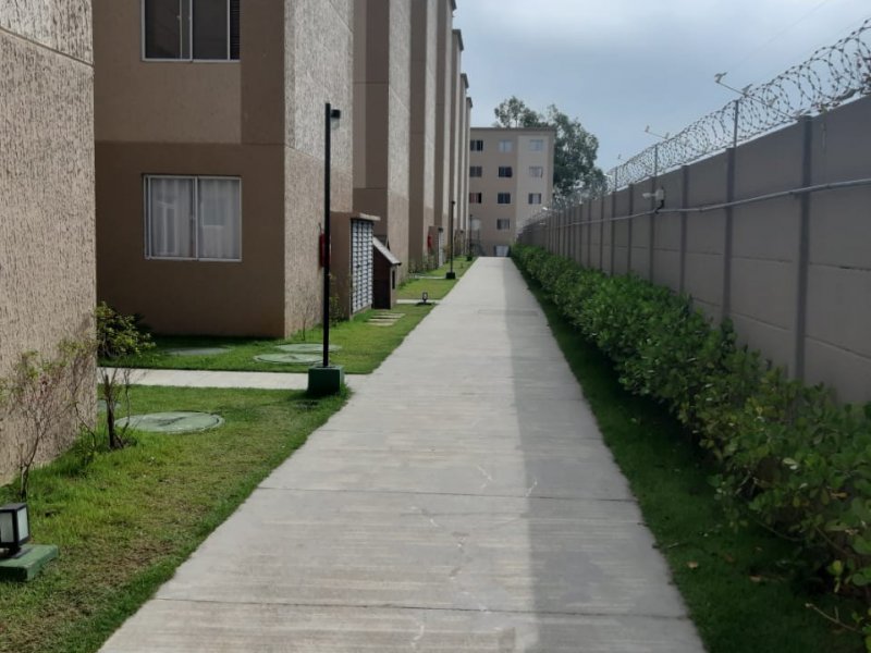Apartamento à venda Parque Pan Americano com 38m² e 2 quartos por R$ 220.000 - 1711759085-img-20191211-wa0020.jpg