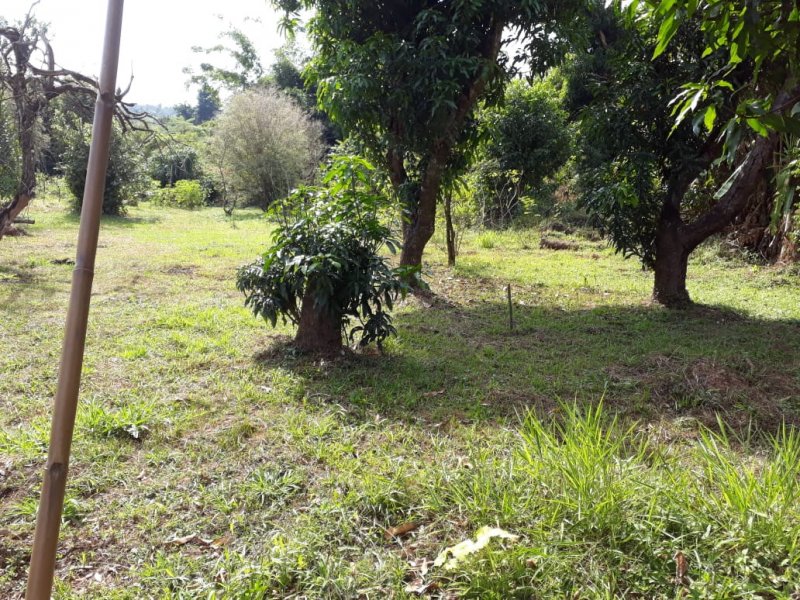 Chácara à venda Parque Jatibaia (Sousas) com 5227m² e 4 quartos por R$ 490.000 - 1410564883-img-20190604-wa0015-1.jpg