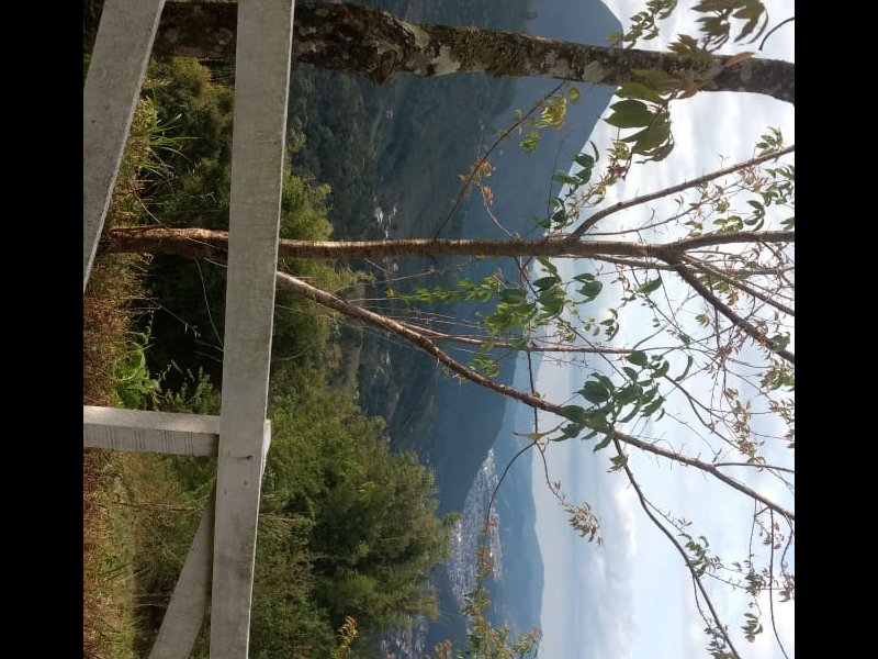 Terreno à venda Cascatinha com 714m² e  quartos por R$ 200.000 - 1998281412-img-20190311-wa0104.jpg