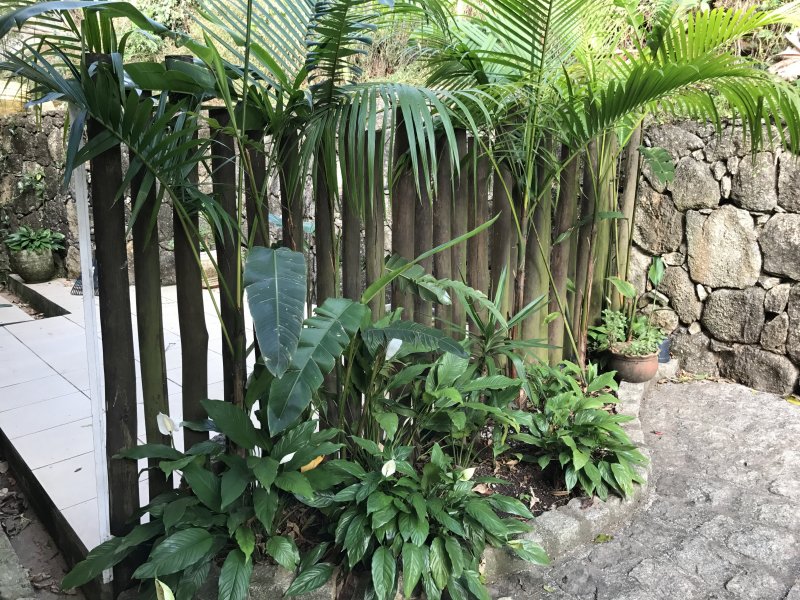 Casa de condomínio à venda Santa Inês com 465m² e 5 quartos por R$ 1.250.000 - 623178638-8cae1b45-5fd6-4e6d-9eea-0b92ef583a2b.jpeg