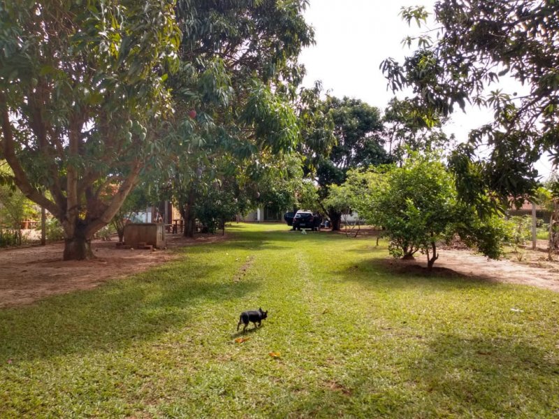 Chácara à venda Vila Santa Aureliana com 1000m² e 2 quartos por R$ 250.000 - 1735018489-aea14fde-349c-41ae-9792-d3a41cded18d.jpeg