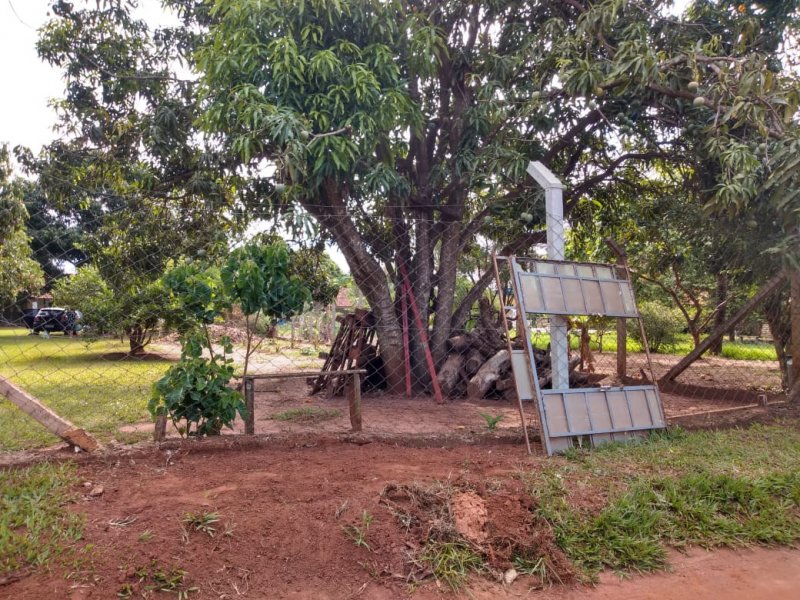 Chácara à venda Vila Santa Aureliana com 1000m² e 2 quartos por R$ 250.000 - 29798105-5fe012ec-1552-498f-bfe4-332fcfc327d3.jpeg
