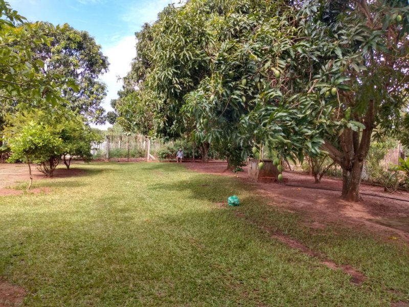 Chácara à venda Vila Santa Aureliana com 1000m² e 2 quartos por R$ 250.000 - 533418361-6da51635-2deb-476f-b25f-e92f2fd7e395.jpeg