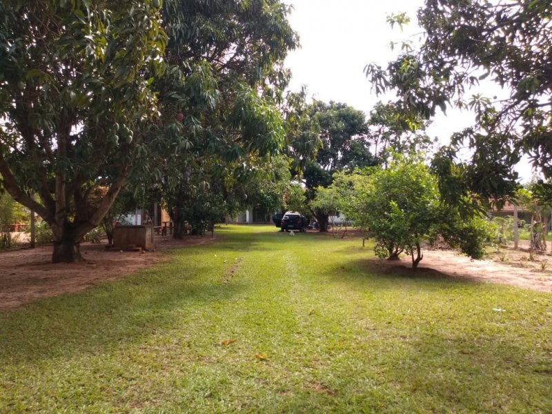 Chácara à venda Vila Santa Aureliana com 1000m² e 2 quartos por R$ 250.000 - 573067688-2f4cd2e9-57e4-4ac1-a71b-7c309e7da30d.jpeg