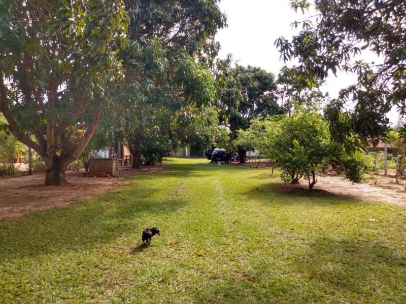 Chácara à venda Vila Santa Aureliana com 1000m² e 2 quartos por R$ 250.000 - 624950092-42c3ac78-76f6-437e-b4ee-fd2fbc9754b9.jpeg