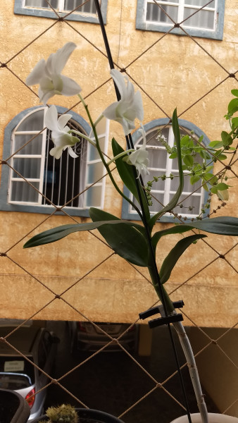 imóvel com 80m² - São José - Montes Claros