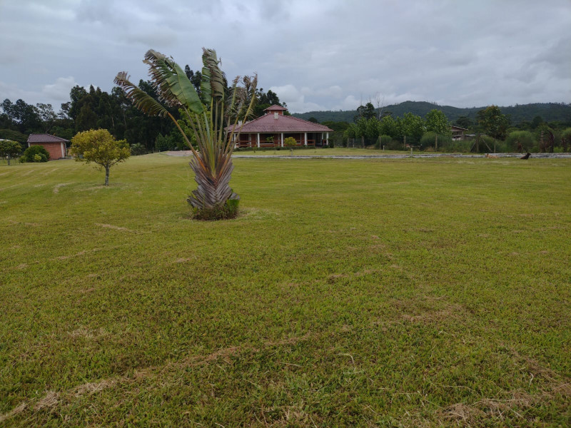 Sítio à venda Lami com 40000m² e 4 quartos por R$ 1.650.000 - 1040262302-s24.jpg