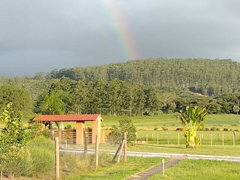 Sítio à venda Lami com 40000m² e 4 quartos por R$ 1.650.000 - 1790592914-s6.jpg