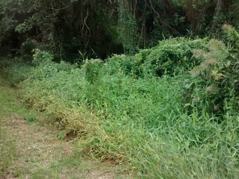 imóvel com 360m² - Centro - Itapoá