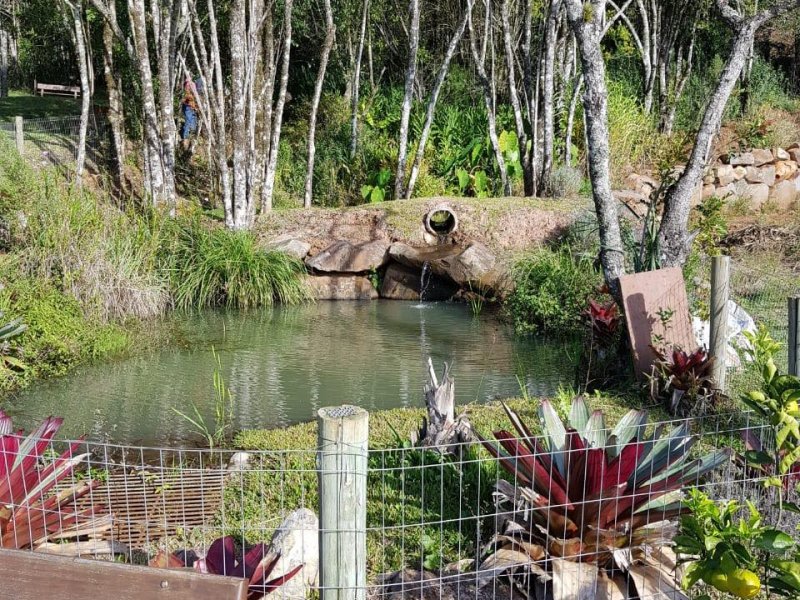 Terreno à venda Linha Araripe com 240000m² e 1 quarto por R$ 20.000.000 - 227242031-79644719-447594672849936-15371786736631808-n.jpg