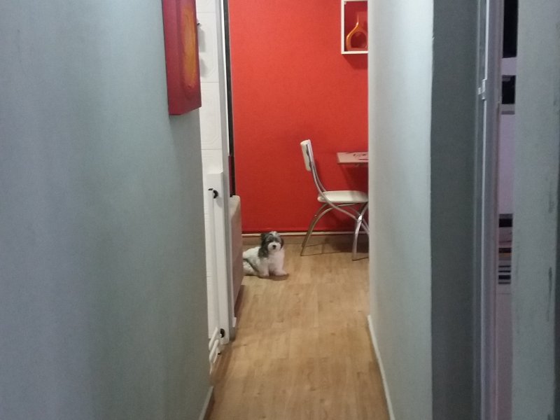 imóvel com 56m² - Mauá - São Caetano do Sul