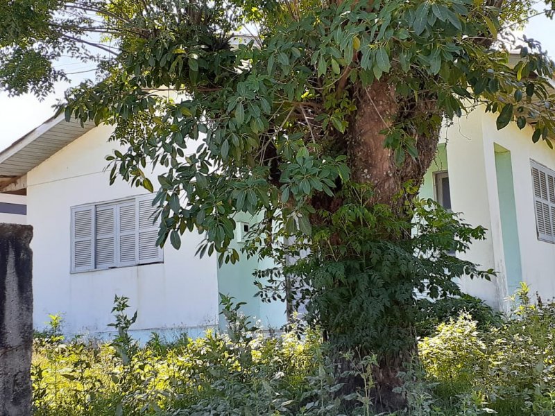 Terreno à venda Raizeira com 300m² e  quartos por R$ 180.000 - 354080959-photo-2019-12-18-14-47-36.jpg