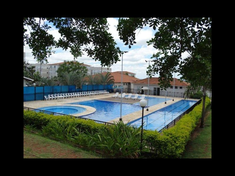 Apartamento à venda Jardim Santa Terezinha (Nova Veneza) com 49m² e 2 quartos por R$ 174.000 - 376547668-whatsapp-image-2019-12-10-at-16.jpeg