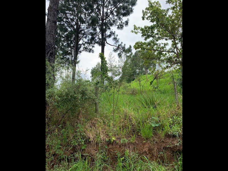 Terreno à venda itapetinga com 1000m² e  quartos por R$ 170.000 - 1942830932-img-1494.jpg