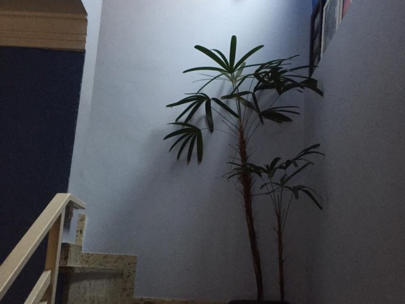 Casa à venda Chácara do Vovó com 130m² e 3 quartos por R$ 600.000 - 488923873-img-20191205-wa0007.jpg