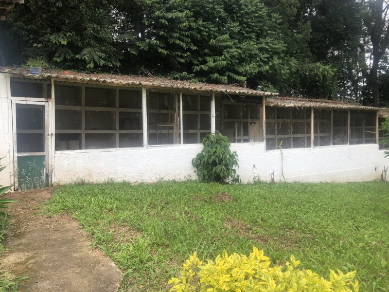 Sítio à venda Centro com 24000m² e 5 quartos por R$ 1.200.000 - 1235099840-img-46501.JPG