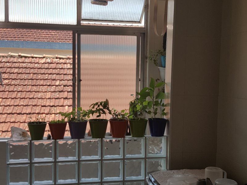 Apartamento à venda Embaré com 90m² e 2 quartos por R$ 400.000 - 1584849367-20170124-115034.jpg