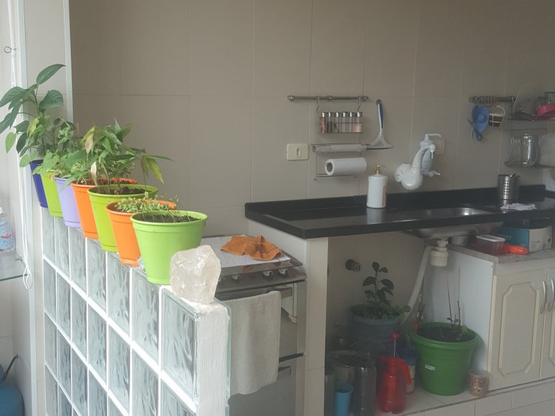 Apartamento à venda Embaré com 90m² e 2 quartos por R$ 400.000 - 1794569023-20170119-135513.jpg