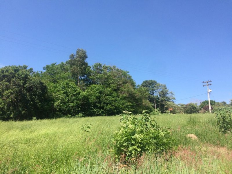 Terreno à venda Estância Santa Maria do Laranjal com 4000m² e  quartos por R$ 210.000 - 1603396251-whatsapp-image-2019-12-27-at-12.jpeg