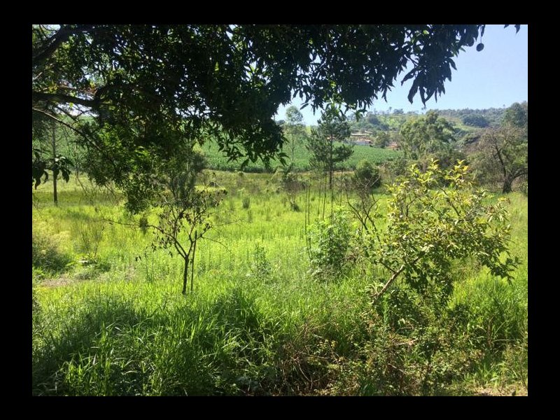 Terreno à venda Estância Santa Maria do Laranjal com 4000m² e  quartos por R$ 210.000 - 1905885863-whatsapp-image-2019-12-27-at-12.jpeg