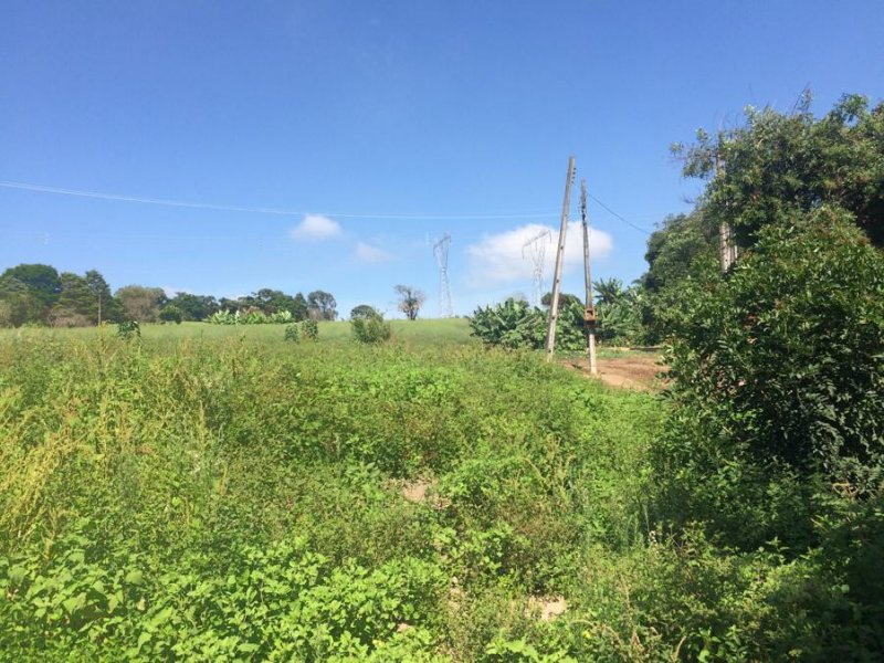 Terreno à venda Estância Santa Maria do Laranjal com 4000m² e  quartos por R$ 210.000 - 809639222-whatsapp-image-2019-12-27-at-12.jpeg