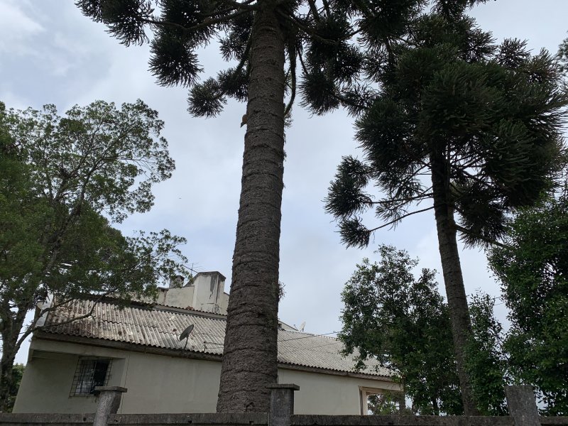 Apartamento à venda Santa Felicidade com 40m² e 1 quarto por R$ 95.000 - 228494547-c7536fad-a653-4cfa-b727-f5a9212ea738.jpeg