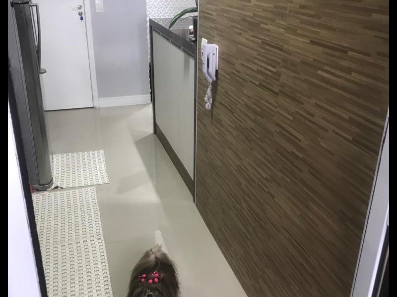 Apartamento à venda Quinta da Paineira com 45m² e 2 quartos por R$ 280.000 - 57921638-dacaa97c-d5ca-4290-b7d8-1554bc01afc1.jpeg