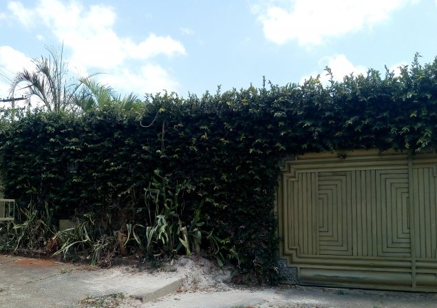 imóvel com 360m²