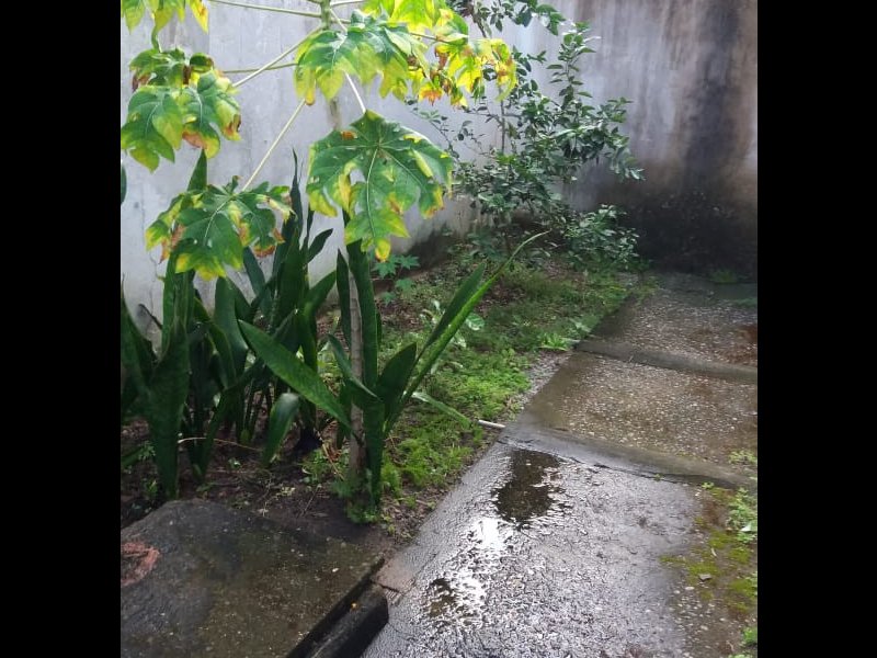 Apartamento à venda Maria Farinha com 78m² e 3 quartos por R$ 50.000 - 1519998863-img-20181021-wa0022.jpg