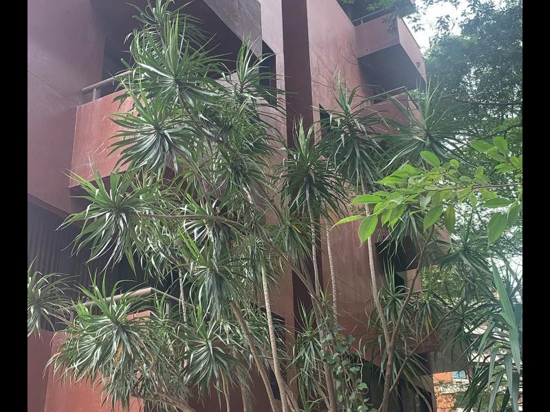 Apartamento à venda Jardim Londrina com 97m² e 1 quarto por R$ 670.000 - 1343388417-img-20191112-wa0012.jpg