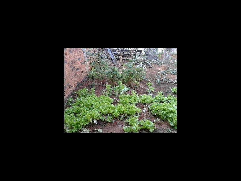 Casa à venda Jardim do Bosque com 250m² e 2 quartos por R$ 160.000 - 955076293-56819179-595171264227868-8566866047775277056-n.jpg