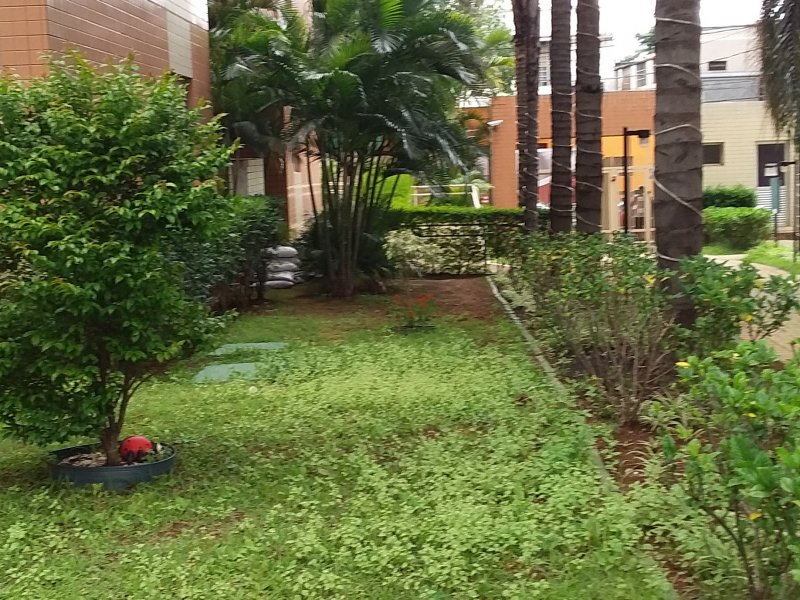 Apartamento à venda Cambuci com 64m² e 3 quartos por R$ 450.000 - 365091653-20200103-125523.jpg
