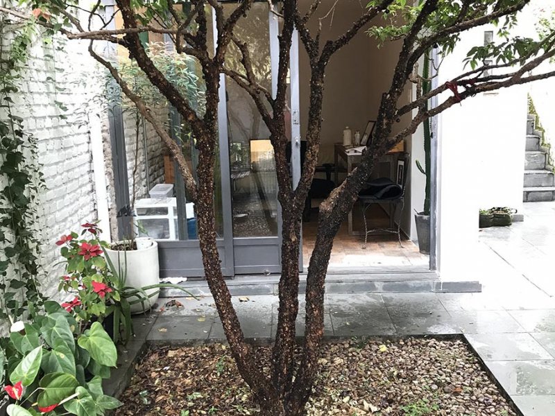 imóvel com 230m² - Pinheiros - São Paulo