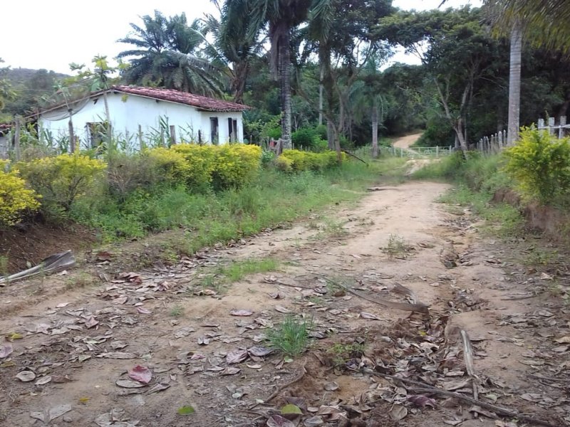 imóvel com 690000m² - Centro - Aracas