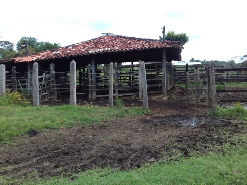 imóvel com 690000m² - Centro - Aracas