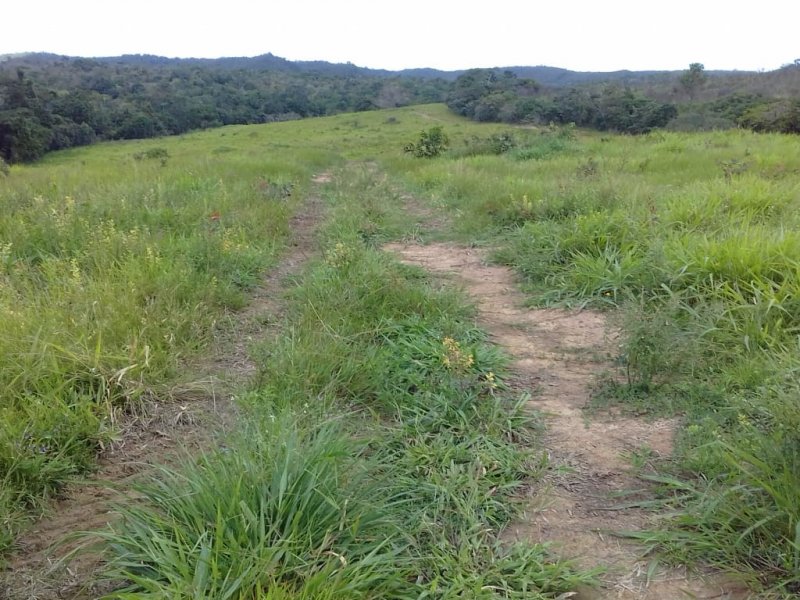 imóvel com 690000m² - Centro - Aracas