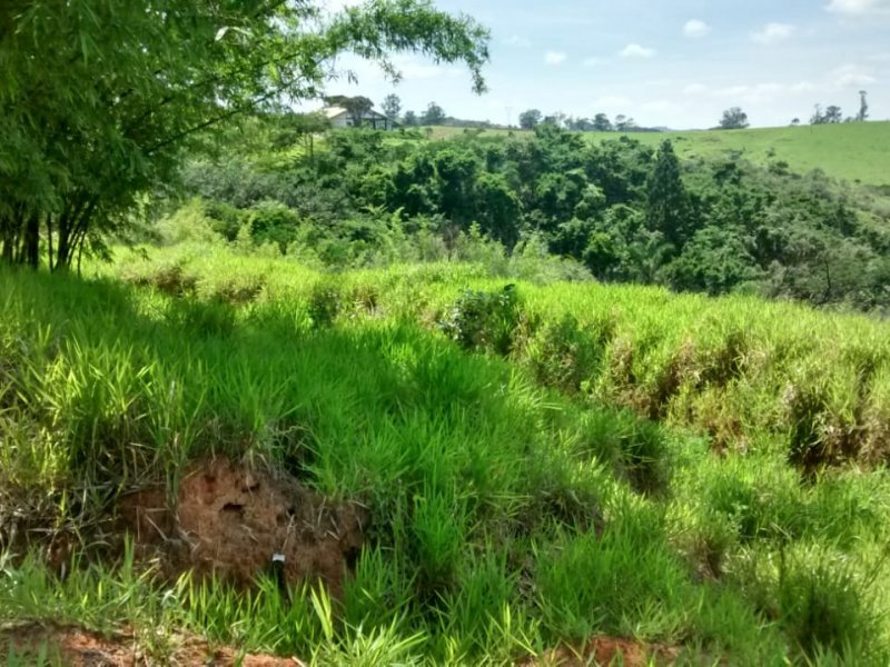 Terreno à venda Joaquim Egídio com 1600m² e  quartos por R$ 360.000 - 1112695440-whatsapp-image-2020-01-03-at-12.jpeg