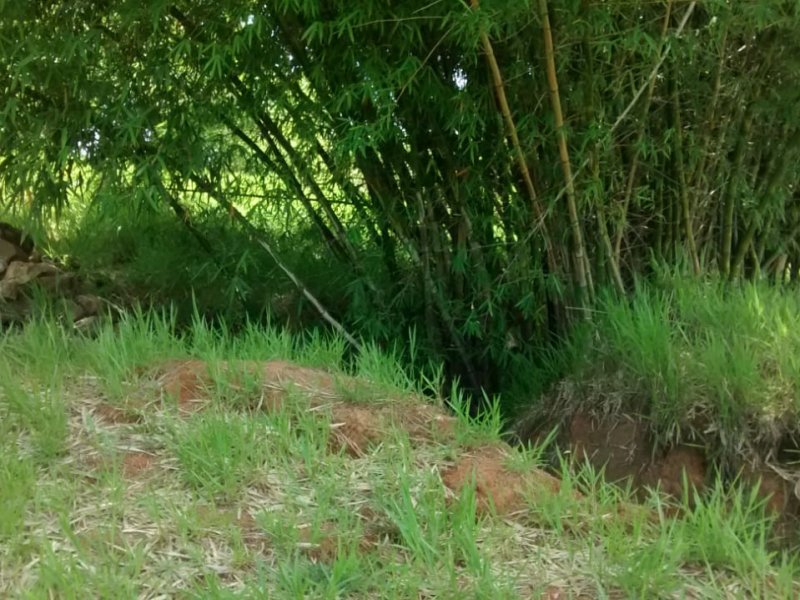 Terreno à venda Joaquim Egídio com 1600m² e  quartos por R$ 360.000 - 1673056490-whatsapp-image-2020-01-03-at-12.jpeg