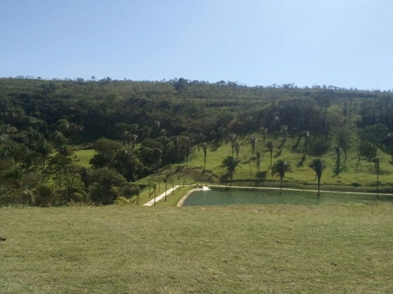 Fazenda à venda St. Morada do Sol com 562m² e 2 quartos por R$ 19.670.000 - 599660122-k10-083.jpg