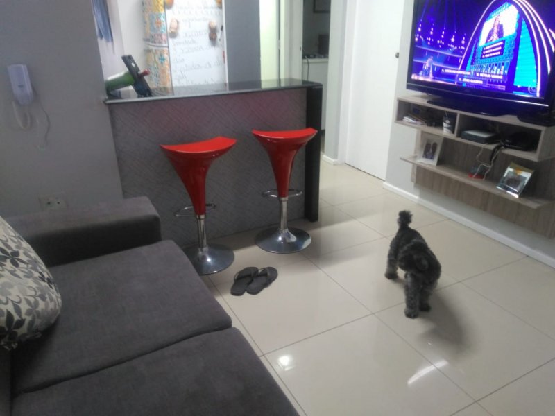 Apartamento à venda Jardim Silvestre com 49m² e 2 quartos por R$ 200.000 - 1185622225-img-20190527-wa0008.jpg