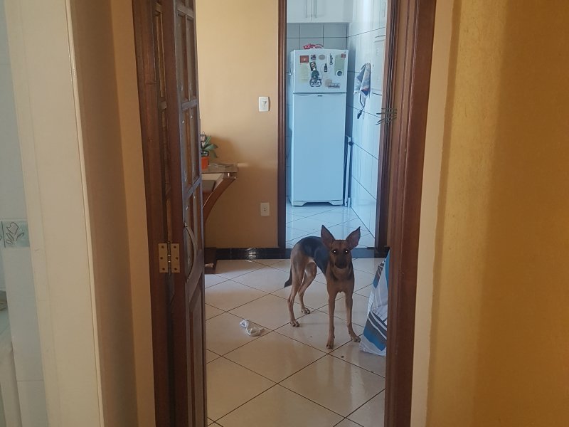 Apartamento à venda Vila Camargo com 71m² e 2 quartos por R$ 299.000 - 422157853-20191229-082328.jpg