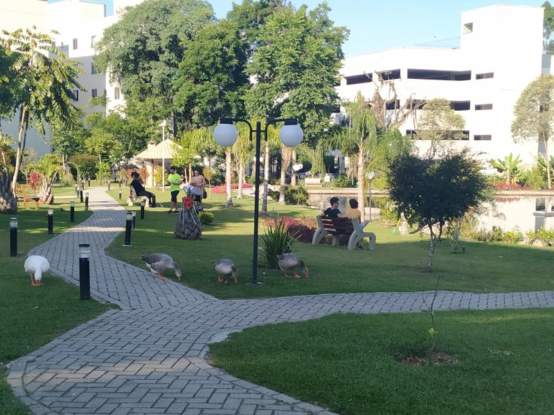 imóvel com 56m² - Pinheirinho - Curitiba